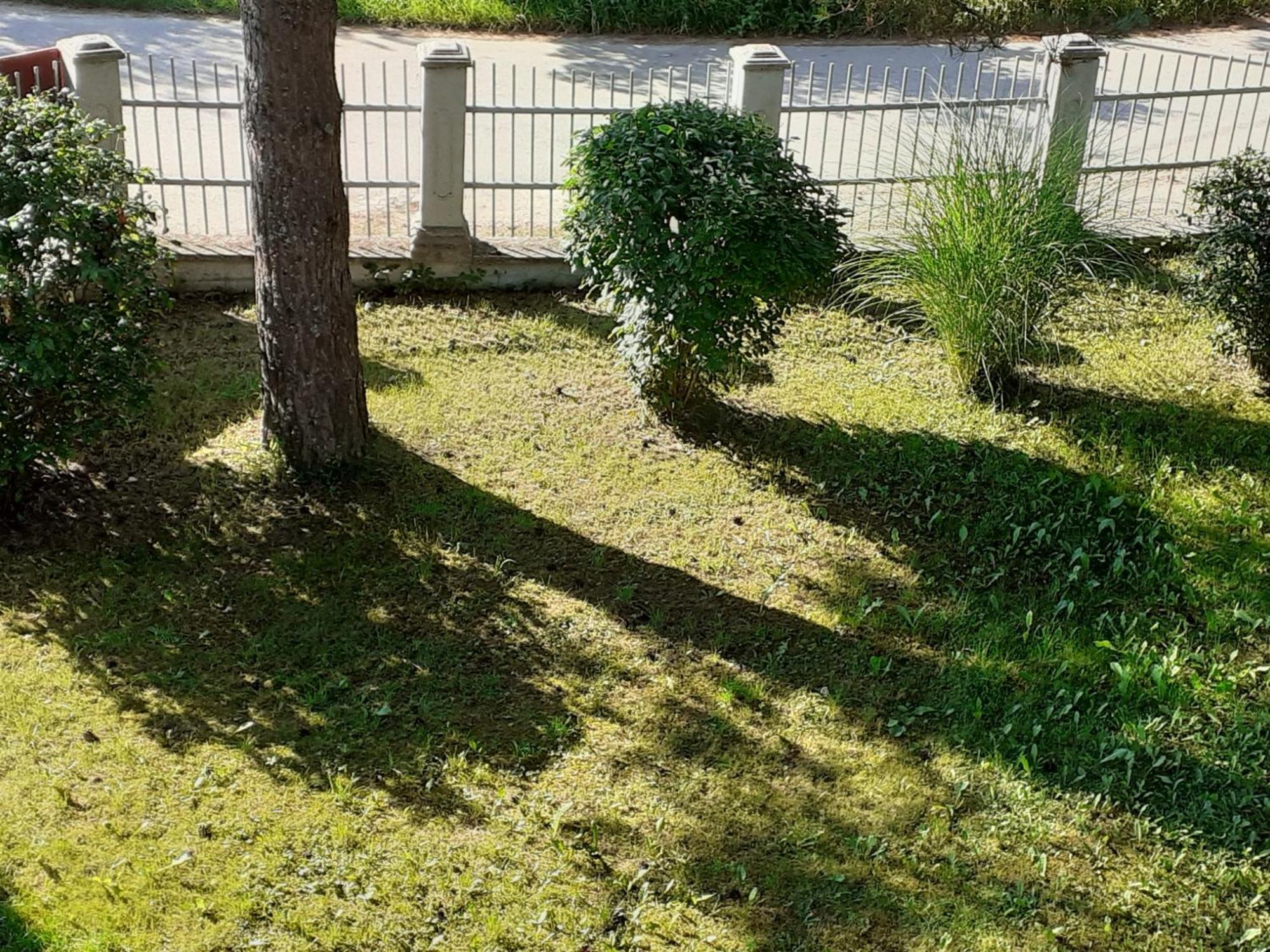 Smjestaj Na Selu,Porodica Gvozdenac Apartment Sipovo Exterior foto